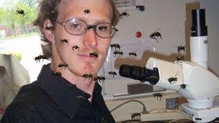 Scientist Lets Bees Sting His Private Parts For Experiment [upl. by Selene207]