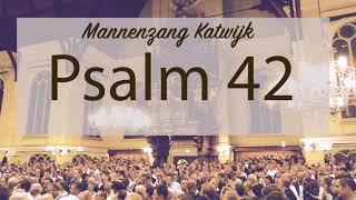 Psalm 42  Meest gevraagde Psalm [upl. by Ettenyar]