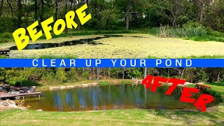 How To Clear Up Your Pond Water [upl. by Naujled7]