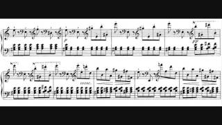 Franz Schubert  Piano Sonata D 959 [upl. by Akired]