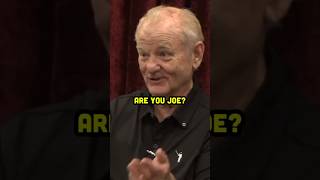 Bill Murray learns who Joe Rogan is ON his podcast 😂😭 [upl. by Carrissa]