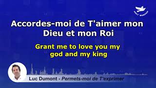 Luc Dumont  Permetsmoi de Texprimer Lyrics [upl. by Aneleairam]