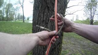 How to tie the Distel hitch  Arborist knot tying [upl. by Fadas]