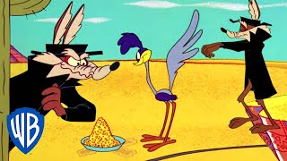 Looney Tunes  Wile Y Coyote the Failed Spy  Classic Cartoon  WB Kids [upl. by Aynwad]