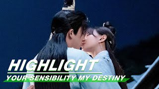 Highlight Your Sensibility My Destiny  公子倾城  iQiyi [upl. by Lyreb]