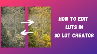 How to Edit LUTs In 3D LUT Creator [upl. by Inglis51]