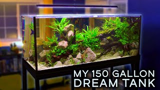 This Is My Dream Aquarium — MY 150 GALLON AQUASCAPE [upl. by Sarene]