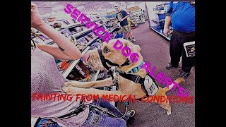 Service Dog Alerts Owner Before They Faint [upl. by Mathias]