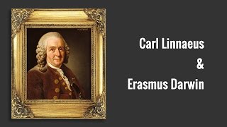 Carl Linnaeus and Erasmus Darwin [upl. by Theodosia]