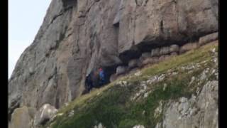 Mountain Goats  amazing rock climbers [upl. by Anelrac946]