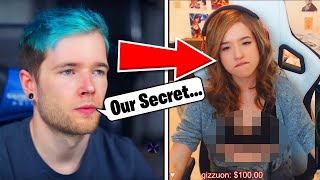 YouTubers Who FORGOT TO STOP RECORDING Jelly Pokimane DanTDM [upl. by Irihs]