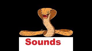 Snake Hiss Sound Effects All Sounds [upl. by Araec127]