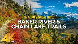 4K Virtual Hike Near River through the Forest  Baker River Trail amp Chain Lake Trail [upl. by Imoen194]