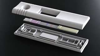 DCN Diagnostics Lateral Flow Assay Development [upl. by Laefar]