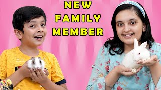 NEW FAMILY MEMBER  Apna pet aagaya  Short movie of our pets  Aayu and Pihu Show [upl. by Dolph262]