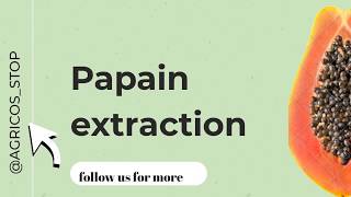 Papain extraction everything you need to know about papain extraction [upl. by Eissed]