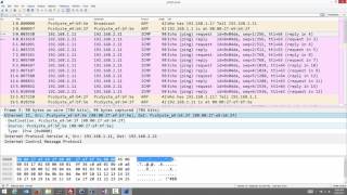 Analysing Ping with Wireshark [upl. by Gnoz]