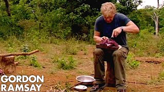 Gordon Ramsay Helps A Cambodian Tribe Butcher And Cook Buffalo  Gordons Great Escape [upl. by Dyanne511]