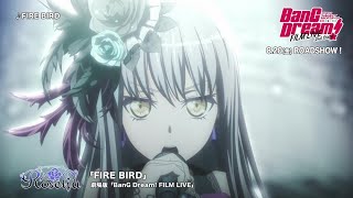 【FILM LIVE】Roselia「FIRE BIRD」ライブシーン [upl. by Tifanie640]