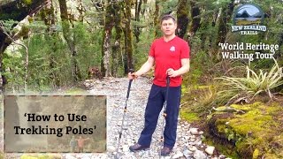 How to Use Trekking Poles [upl. by Darach]