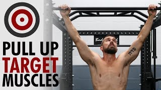 Pull Up Variations and Muscles Worked [upl. by Ilyak]