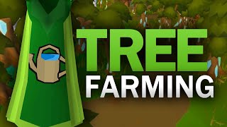 Complete Tree Farming Guide for OSRS [upl. by Nnek]