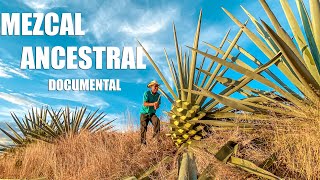 OAXACA Y SU MEZCAL ANCESTRAL  Documental [upl. by Gennifer]