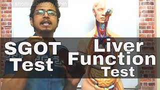 SGOT test in Hindi  SGOT test procedure [upl. by Hartwell990]