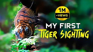 T86 Ranthambore National Park  Tiger Safari  4K Video Hindi  हिन्दी [upl. by Ynned139]