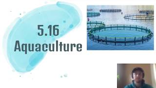 APES Video Notes 516  Aquaculture [upl. by Airitac]