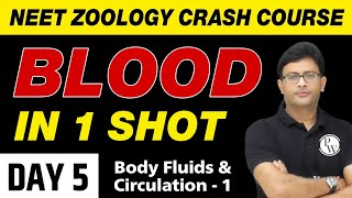 BLOOD in 1 Shot  Body Fluids and Circulation 01  UMMEED [upl. by Ditzel144]