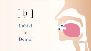 Nasal Polyps diagnosis and treatment options [upl. by Maxfield914]