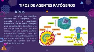 7° Agentes patógenos y medidas preventivas [upl. by Elvina]