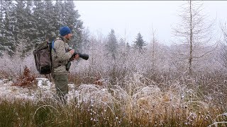 NATURE PHOTOGRAPHY in DENMARK  Behind the scenes [upl. by Alper]