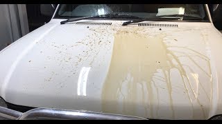 RESTORE faded paint from 20 year old car [upl. by Jamie]