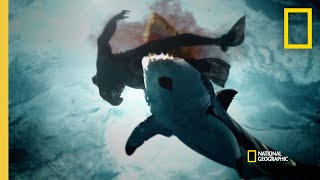 A String of Shark Attacks in San Diego  When Sharks Attack [upl. by Lytle619]