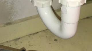 SMELL SEWER GAS don’t call a plumber EASY FIX [upl. by Ehcnalb552]