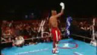 Roy Jones Greatest Hits HBO Boxing [upl. by Frederico]