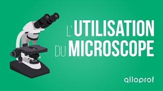 Lutilisation du microscope  Sciences  Alloprof [upl. by Oidualc]