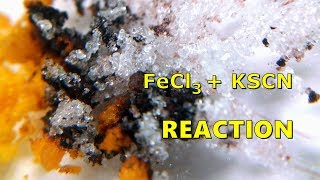 Iron III Chloride Reaction With Potassium Thiocyanate FeCl3  KSCN [upl. by Hook]