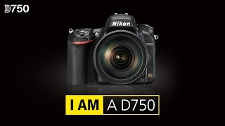 Nikon D750  Review On Nikon D750 24 MP DSLR Camera [upl. by Aeynod]