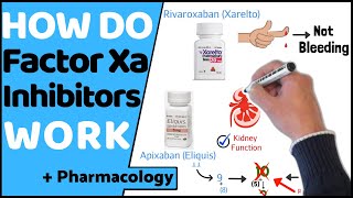 How do Factor Xa Inhibitors Work DOACs [upl. by Jezabella]