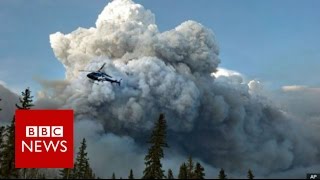 Alberta wildfire Emergency declared in Fort McMurray  BBC News [upl. by Kerstin]