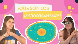 ¿Qué son los MICROORGANISMOS [upl. by Pandora]