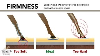 How Riding Arena Surfaces Affect Horse Biomechanics [upl. by Yreneh493]