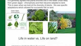 Introduction to Plant Diversity [upl. by Marolda]