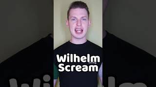 The Wilhelm Scream [upl. by Bauer]