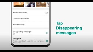 How To Send Disappearing Messages  WhatsApp [upl. by Wilden554]