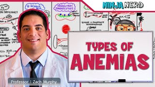 Hematology  Types of Anemias [upl. by Grider]