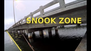 How To Catch Snook Around Bridges Where and When to Fish [upl. by Knut299]